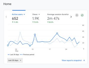 Google Analytics screenshot showing Adelaide Glaziers website traffic and engagement statistics